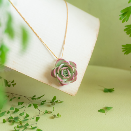 aurora-bee-colar-suculenta-01
